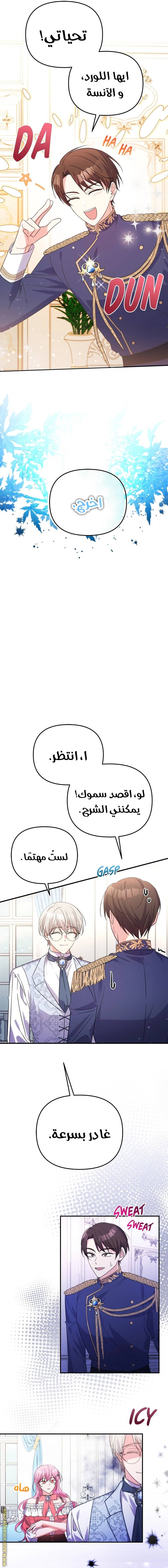 الصفحة 20