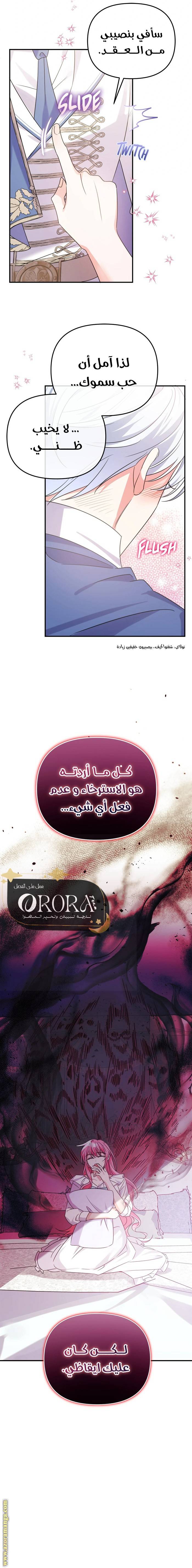 الصفحة 24