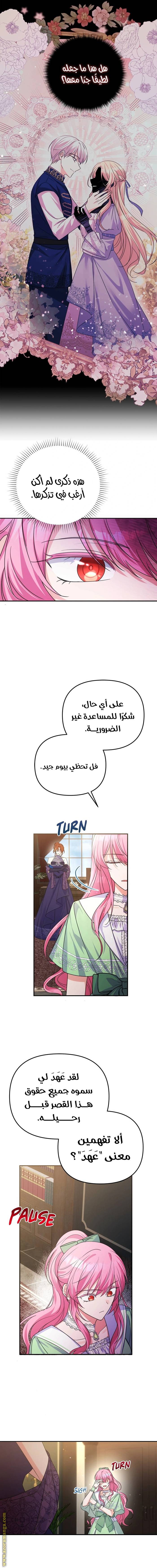 الصفحة 8