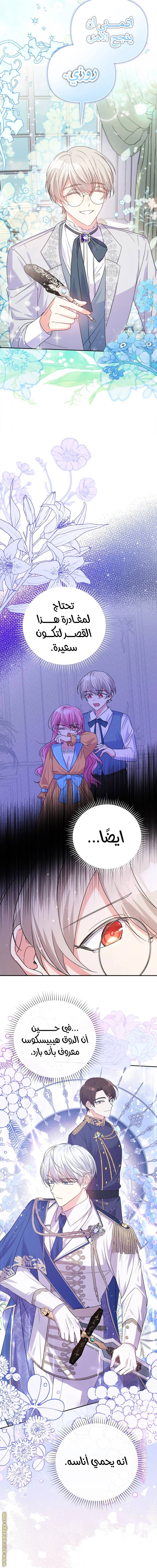 الصفحة 14