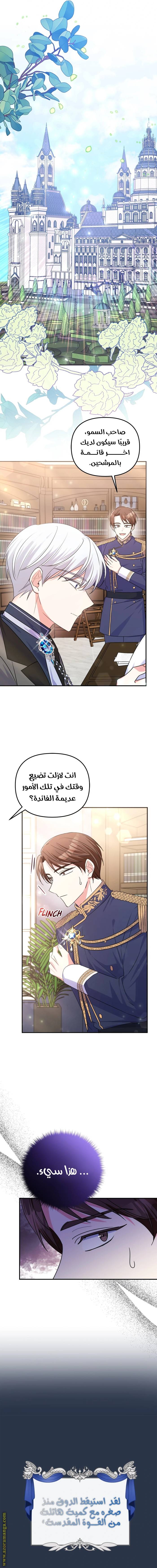 الصفحة 17