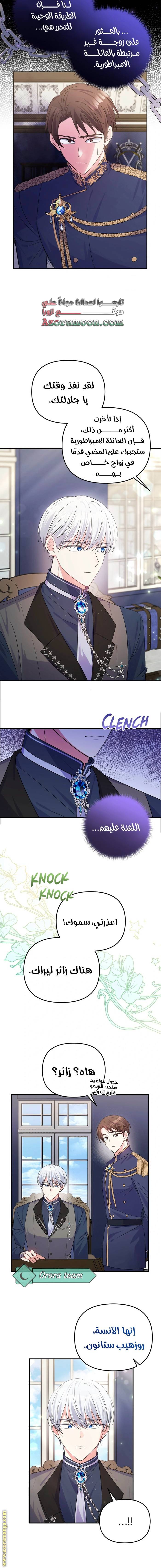 الصفحة 19