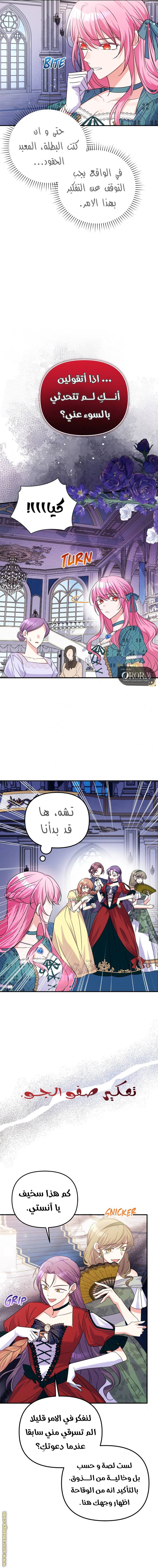 الصفحة 13