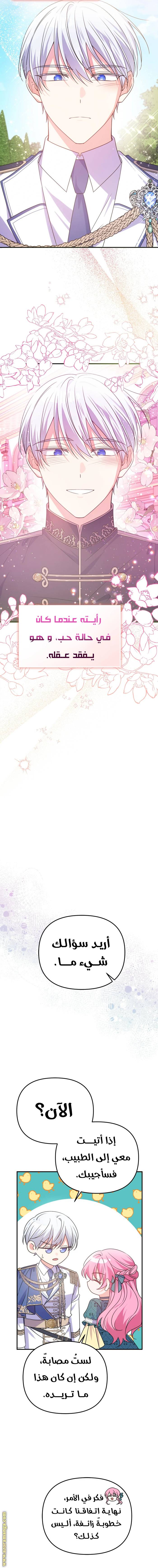 الصفحة 13