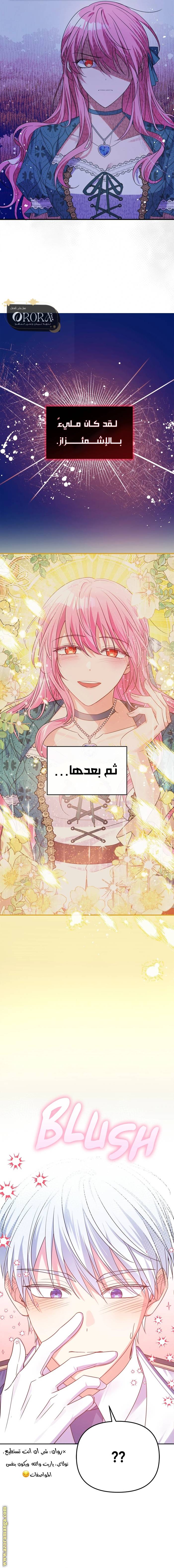 الصفحة 21
