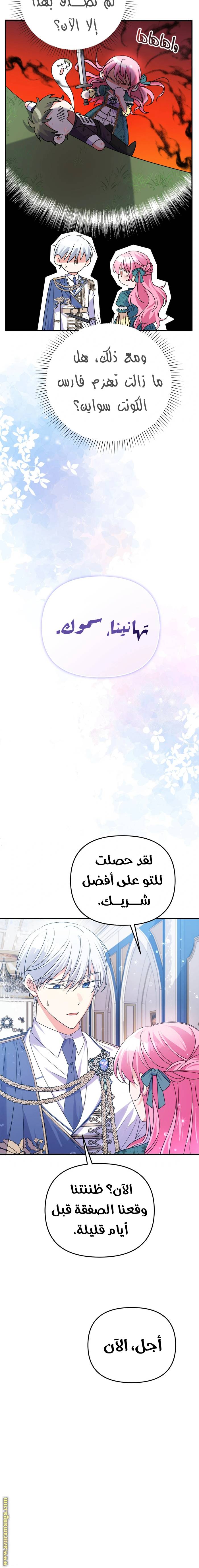 الصفحة 24