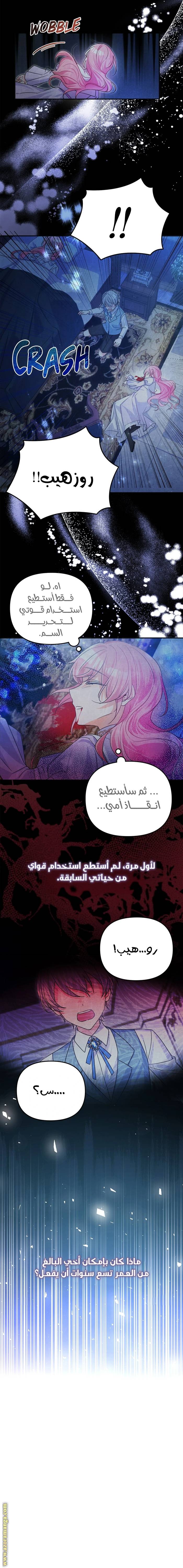 الصفحة 12