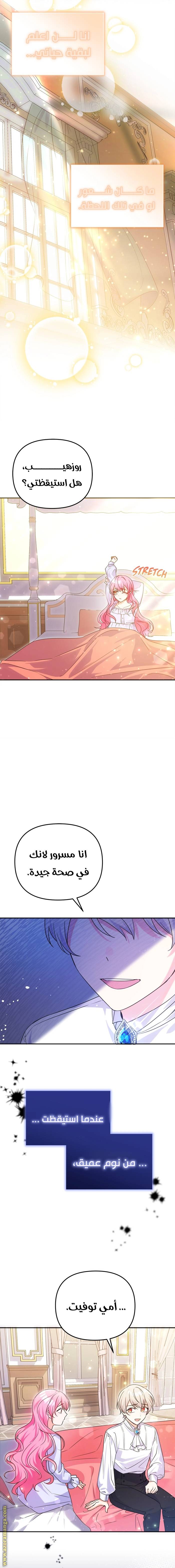 الصفحة 14