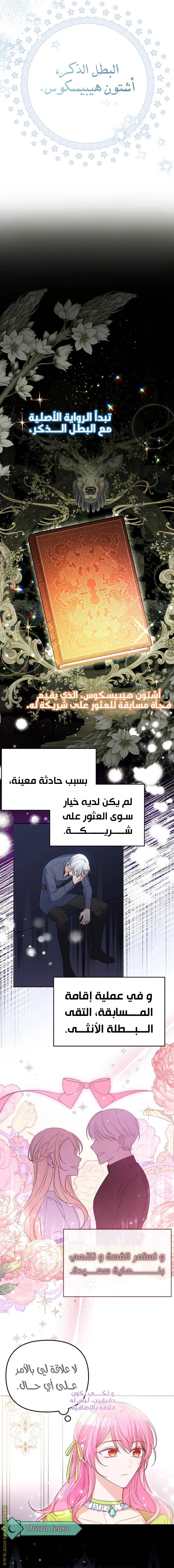 الصفحة 17