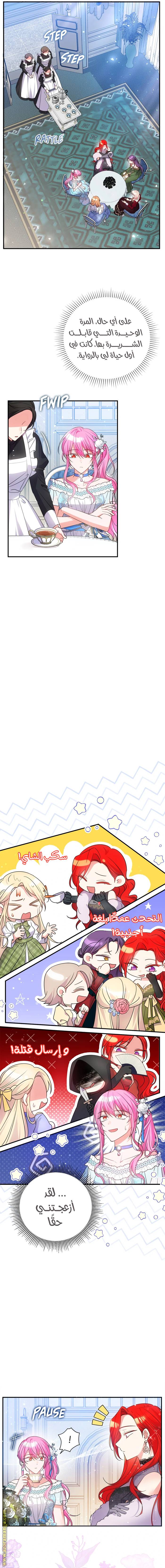 الصفحة 7