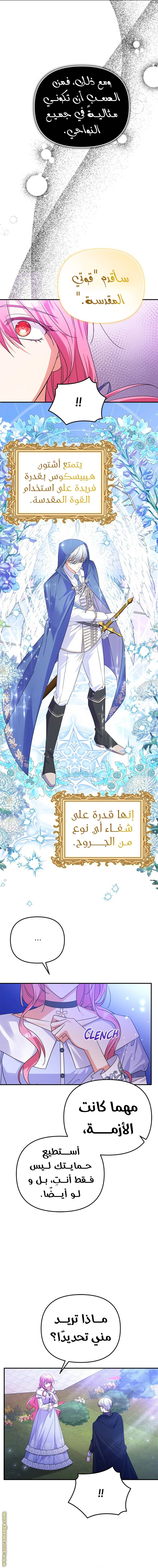 الصفحة 13