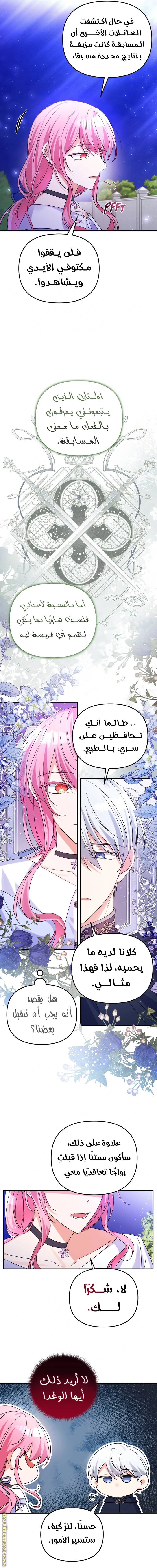 الصفحة 15