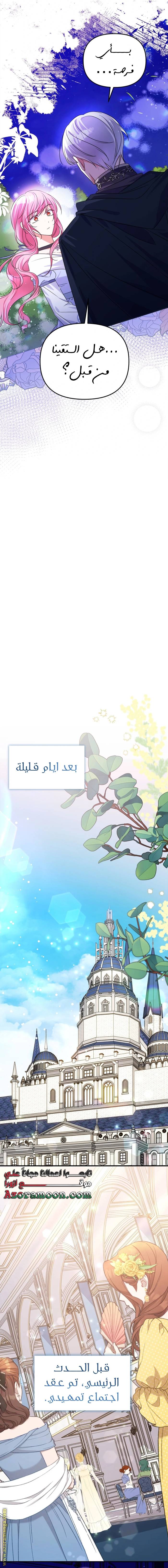 الصفحة 19