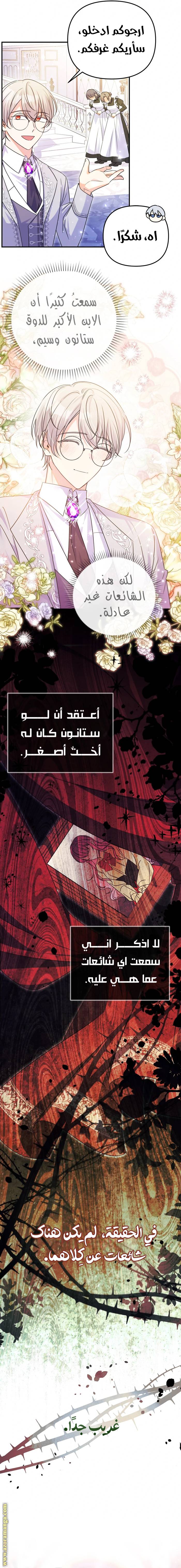 الصفحة 8
