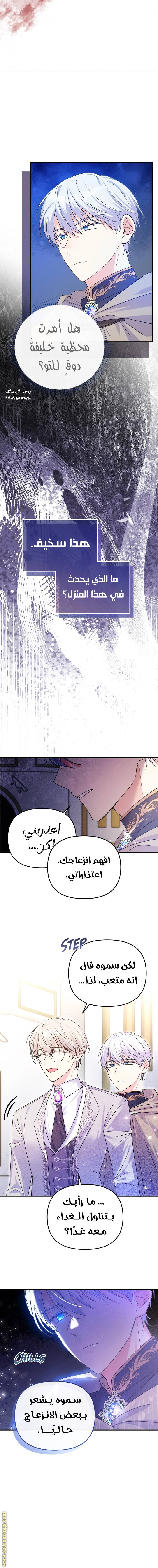 الصفحة 11