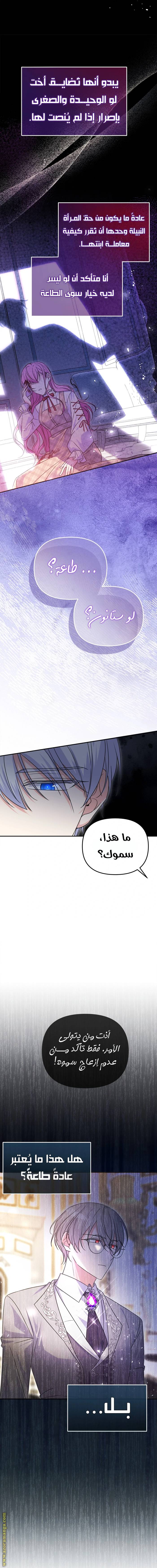 الصفحة 16
