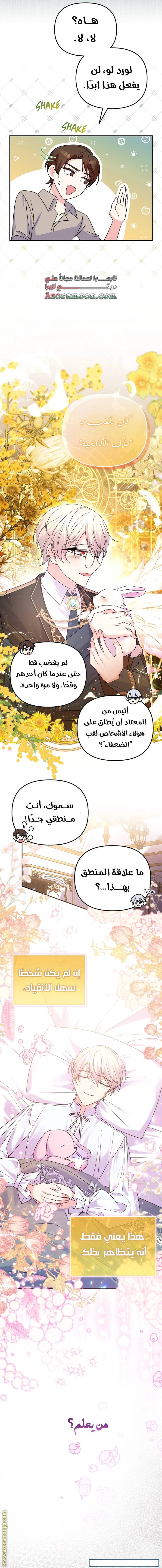 الصفحة 17