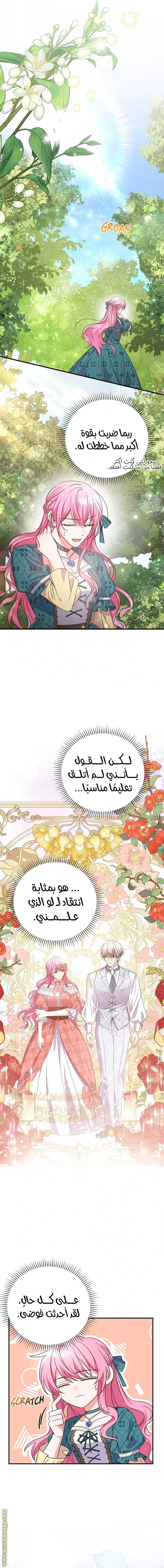 الصفحة 21