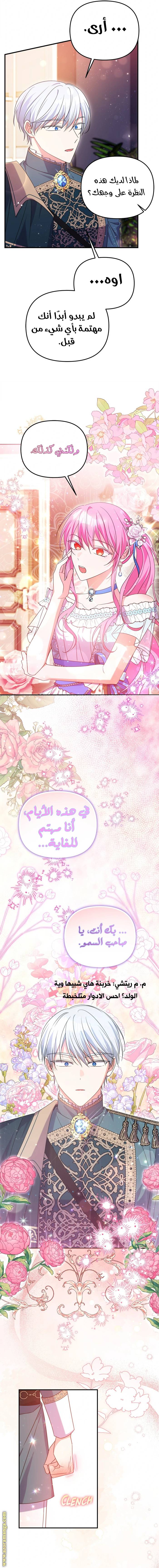 الصفحة 20