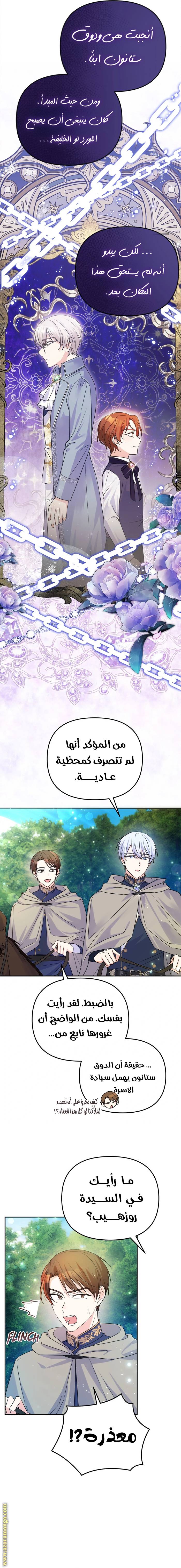 الصفحة 13