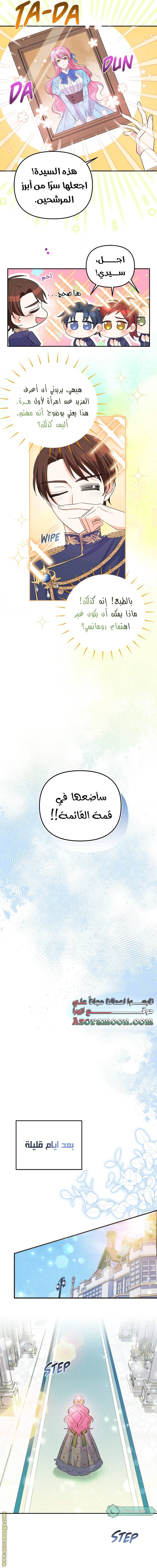الصفحة 17