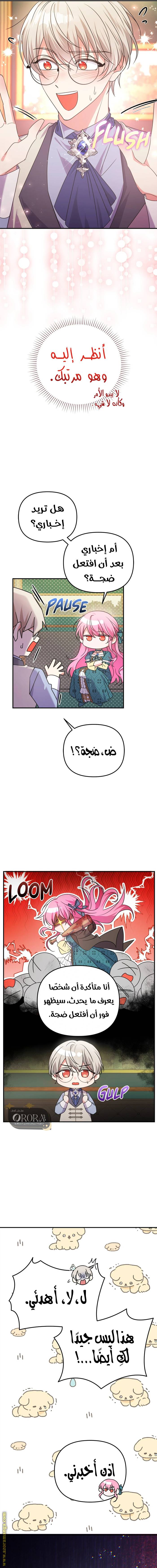 الصفحة 11
