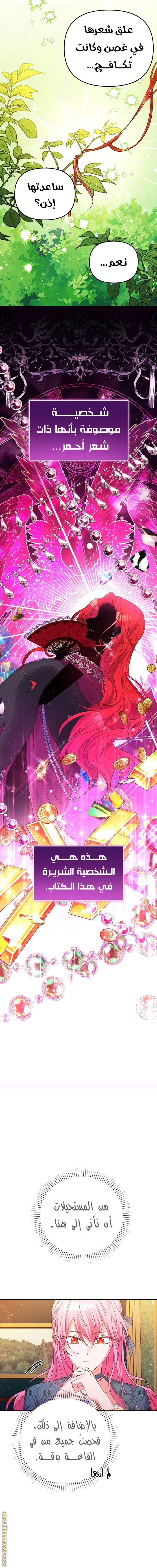 الصفحة 14