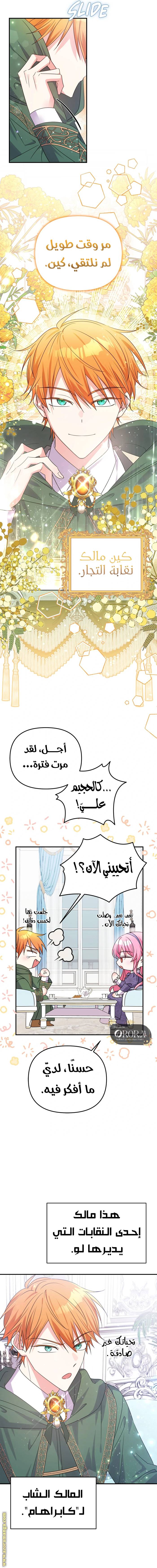 الصفحة 21