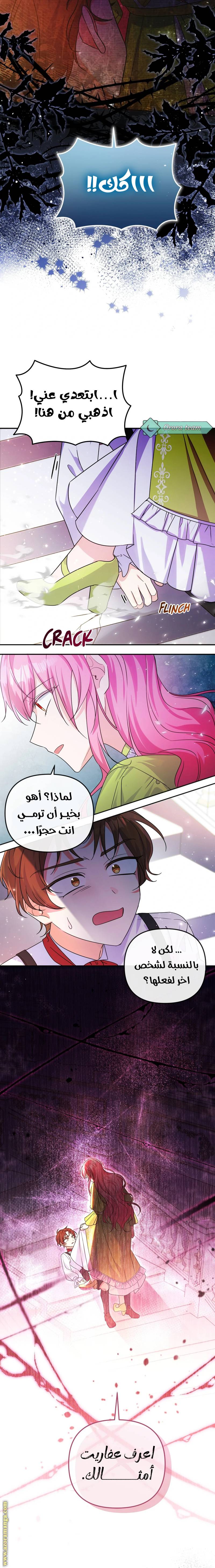 الصفحة 14