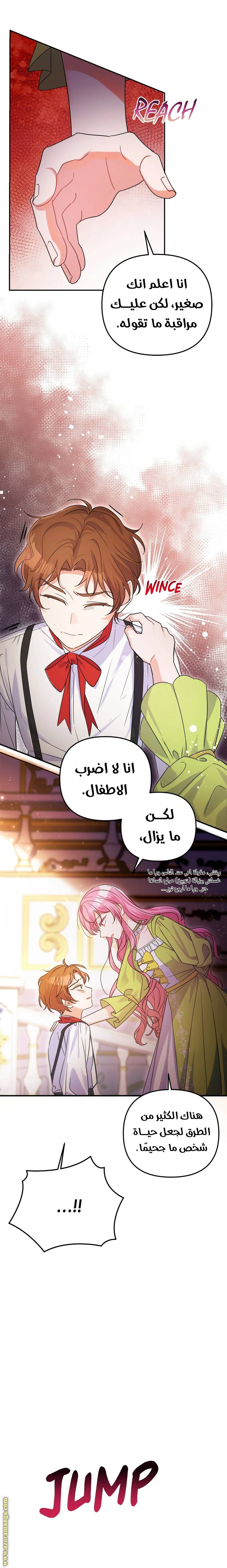 الصفحة 17