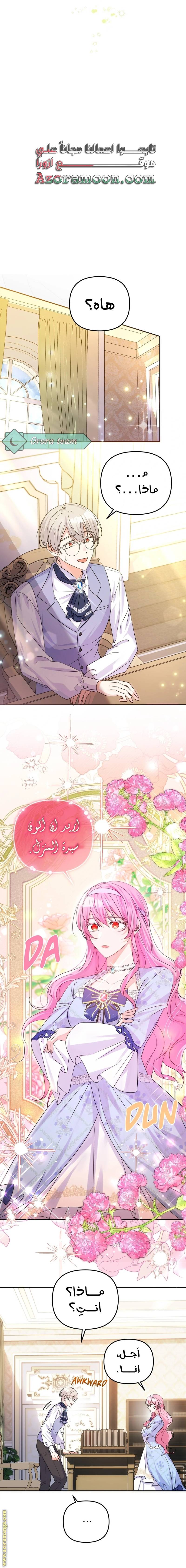 الصفحة 19