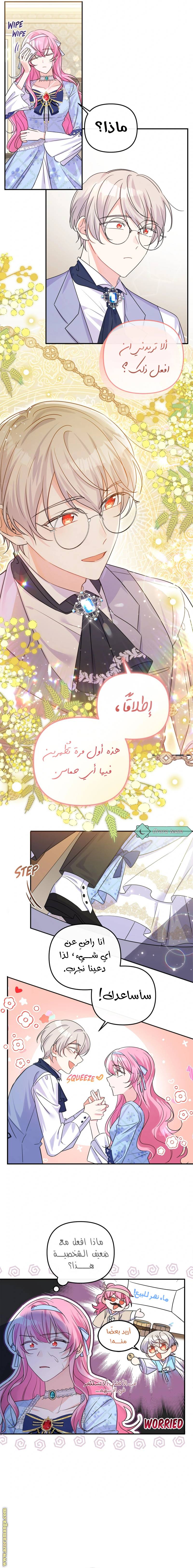 الصفحة 21