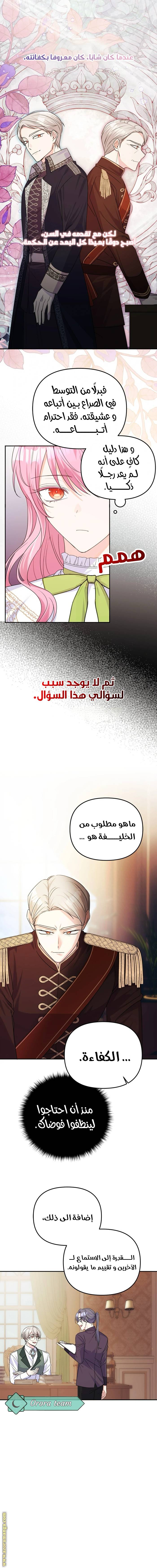 الصفحة 13