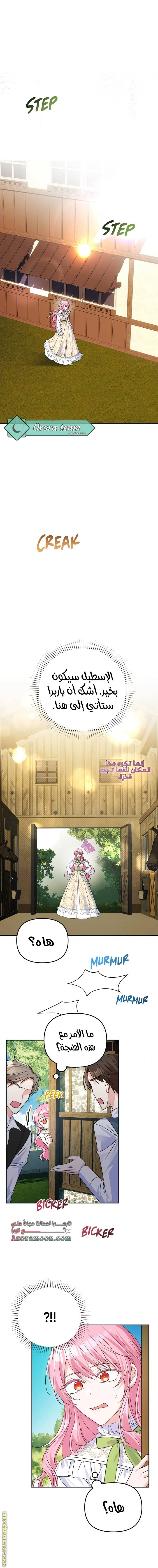 الصفحة 16