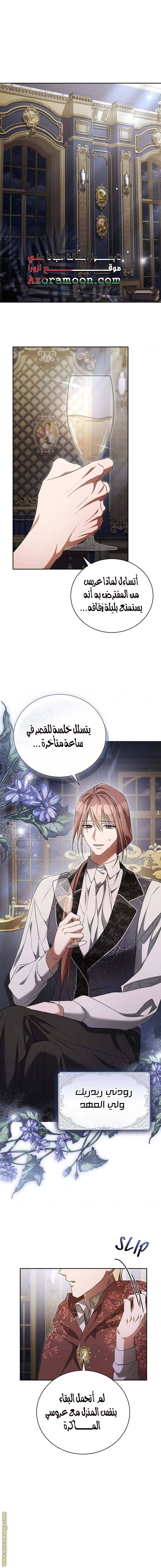 الصفحة 14