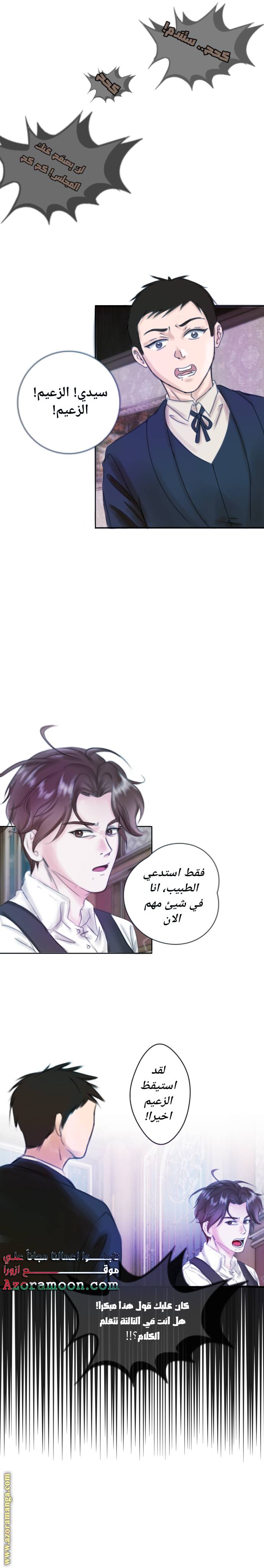 الصفحة 24