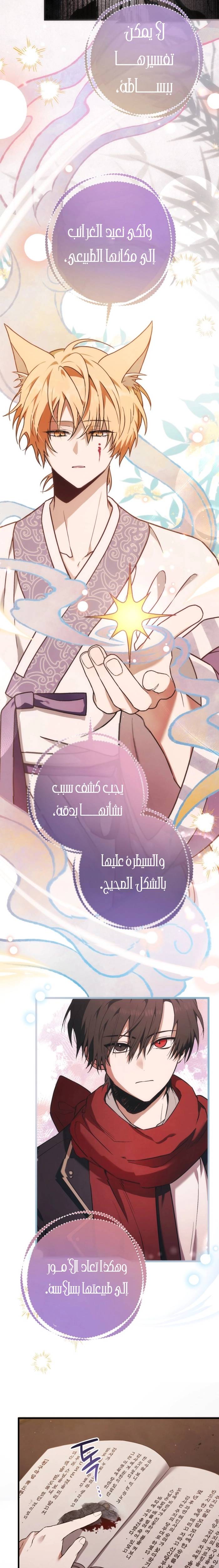 الصفحة 26