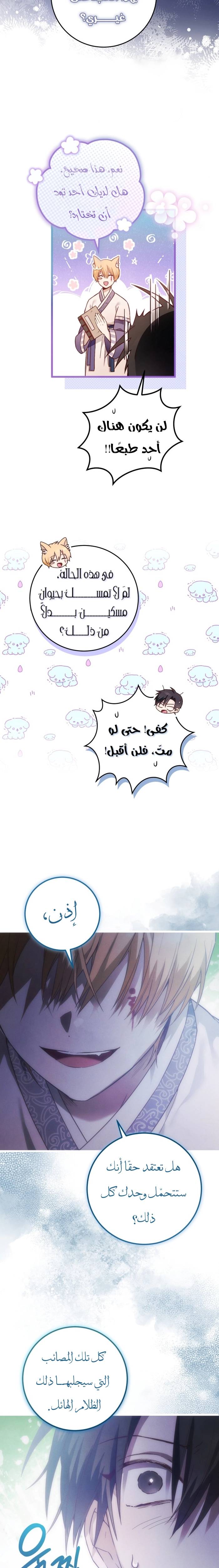 الصفحة 31