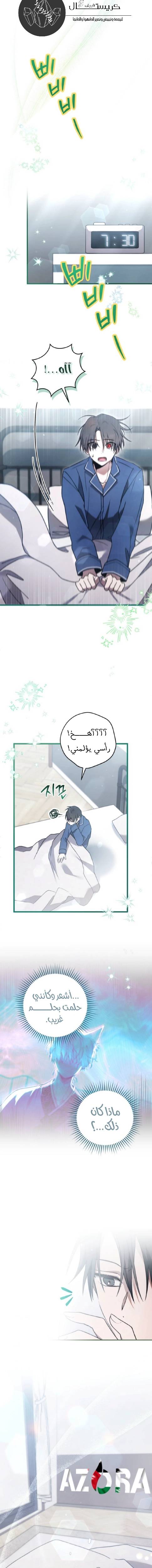 الصفحة 17
