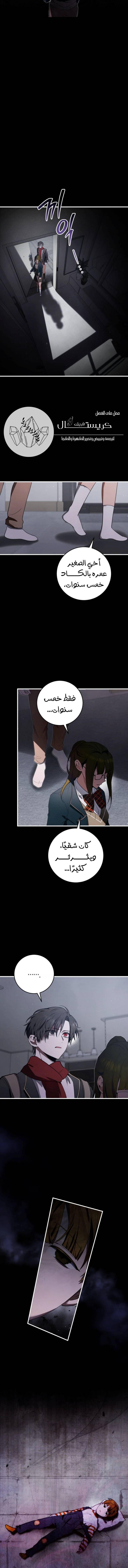الصفحة 13