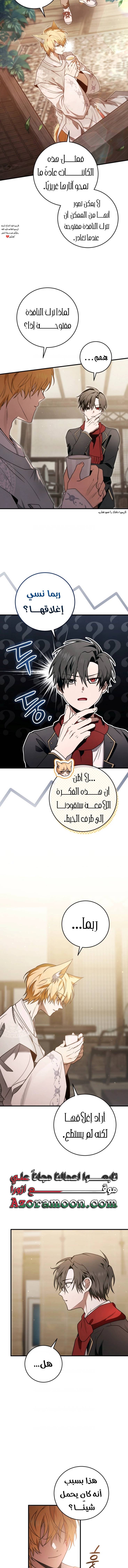 الصفحة 17