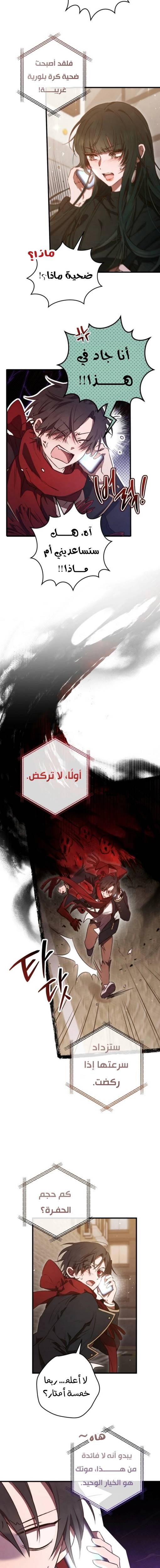 الصفحة 21