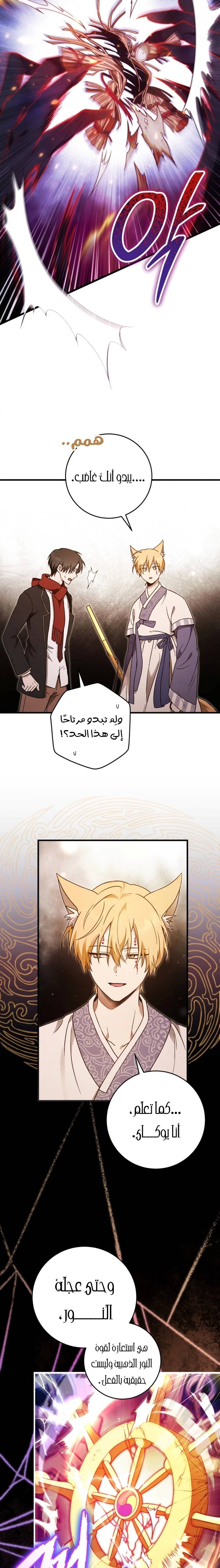 الصفحة 17