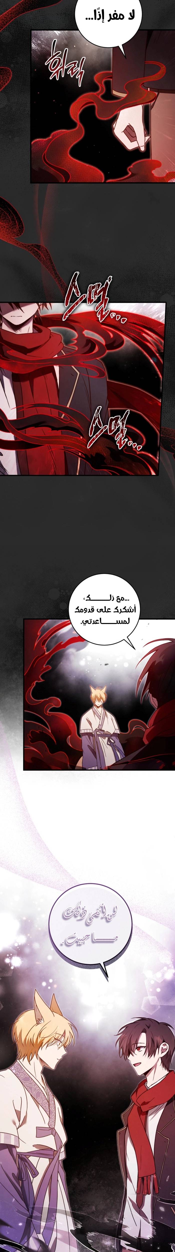 الصفحة 20