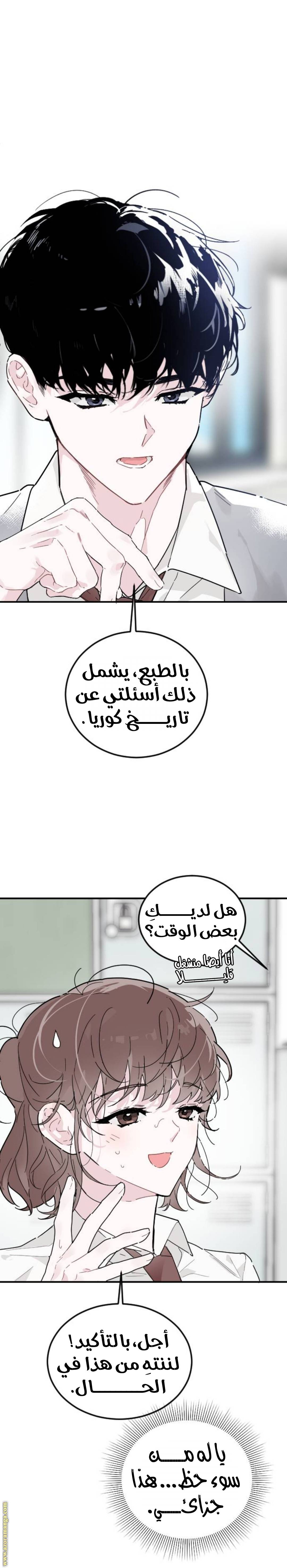 الصفحة 11