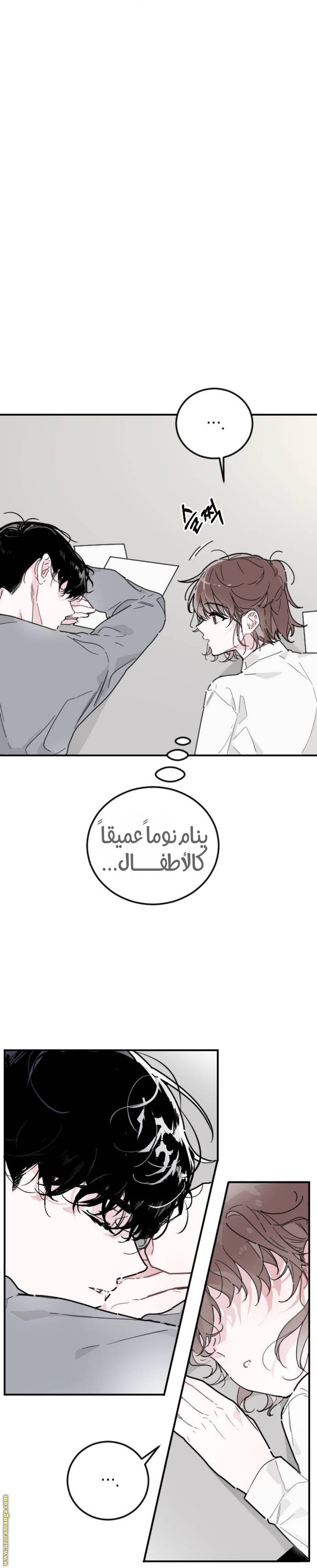 الصفحة 15