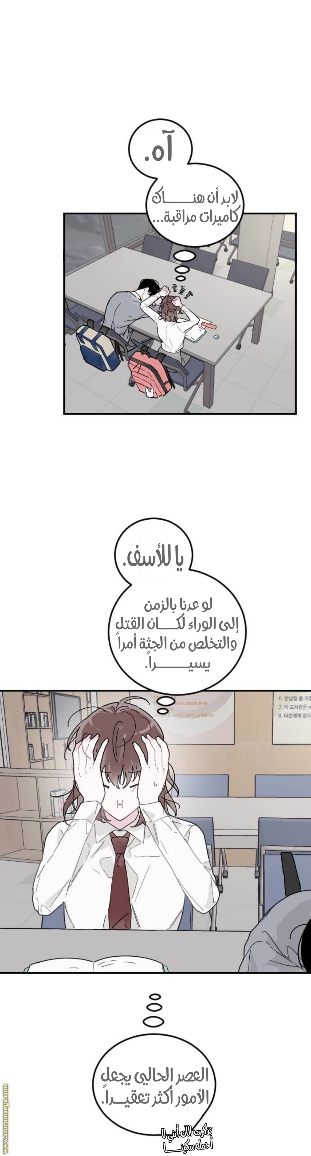 الصفحة 17
