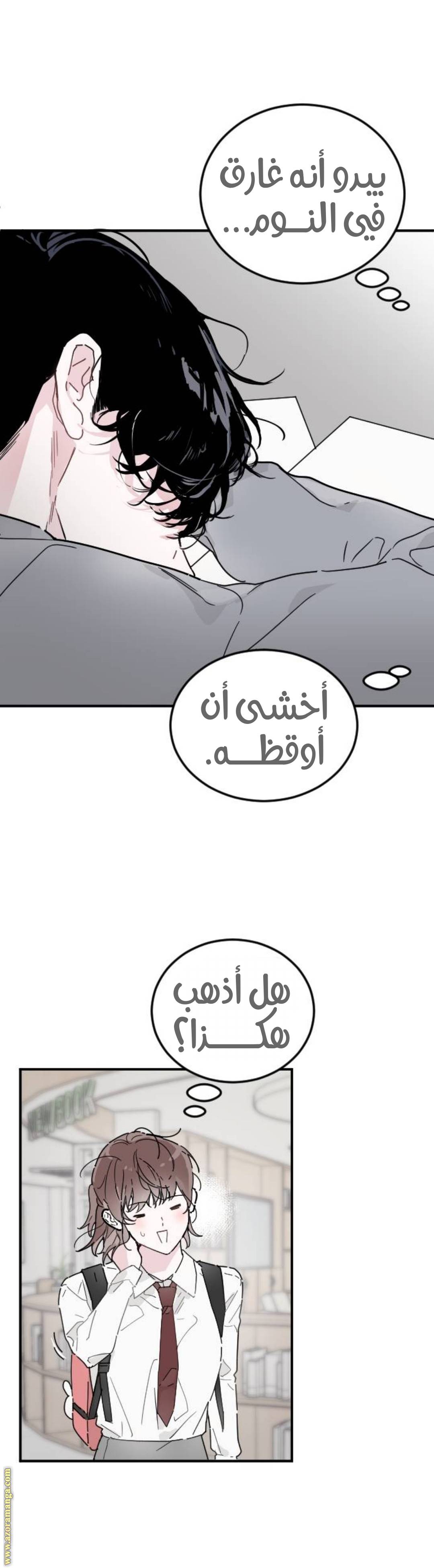 الصفحة 19