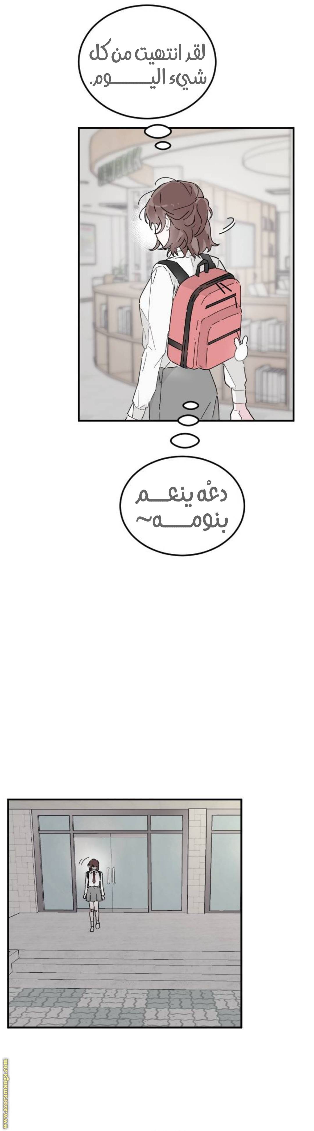 الصفحة 20
