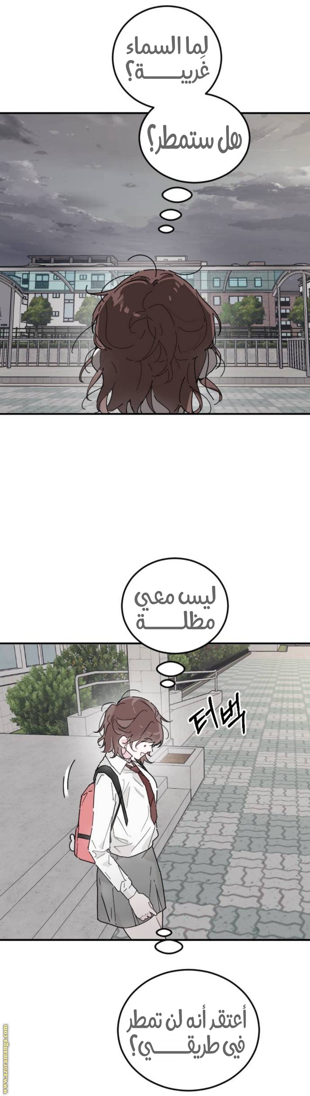 الصفحة 21